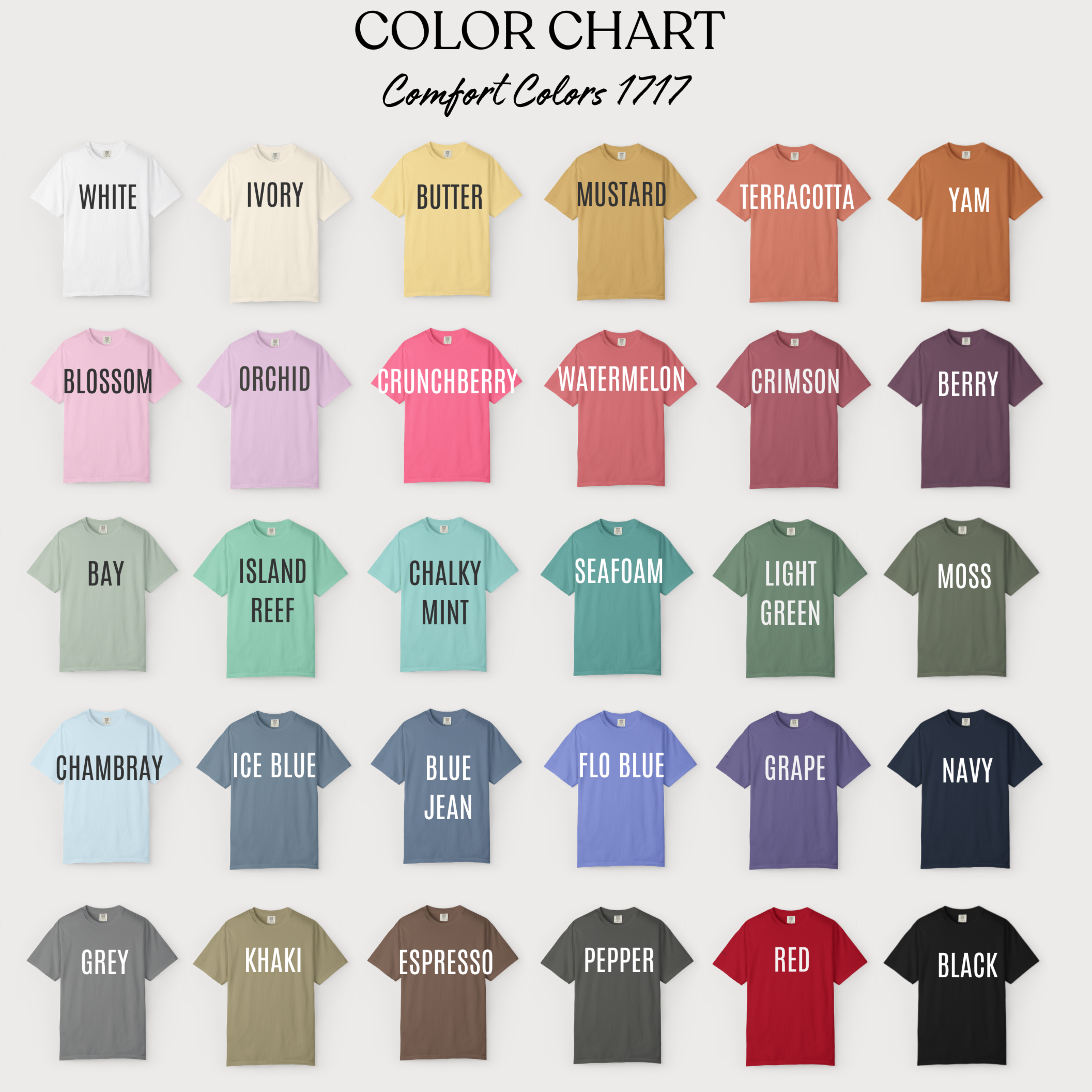 Hockey Romance Bookish Shirt, Off Campus Tshirt For Fans, Briar University